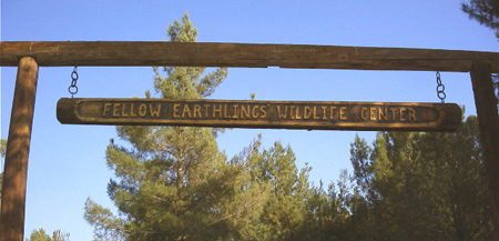 Welcome to Fellow Earthlings!