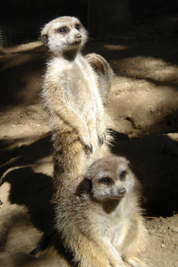 Soaking up some sunshine