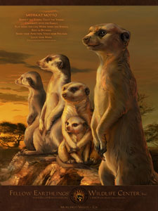 Click to see larger image